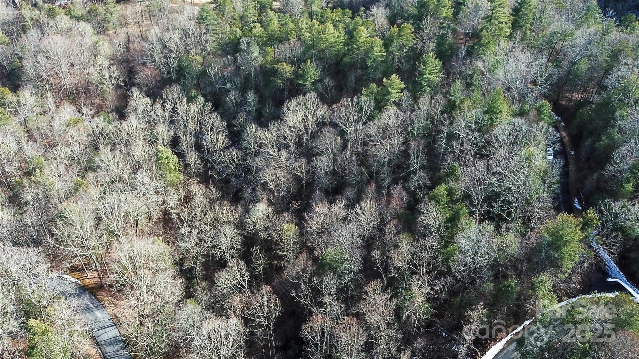 Lot at Hendersonville, photo 10 of 23