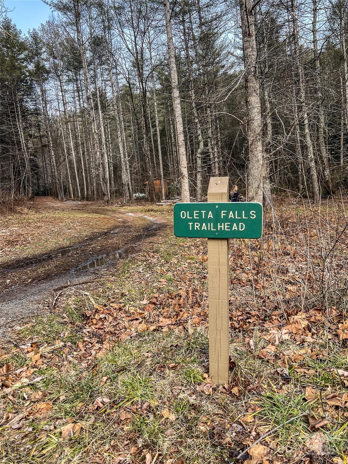Community Waterfall this way! - Hendersonville