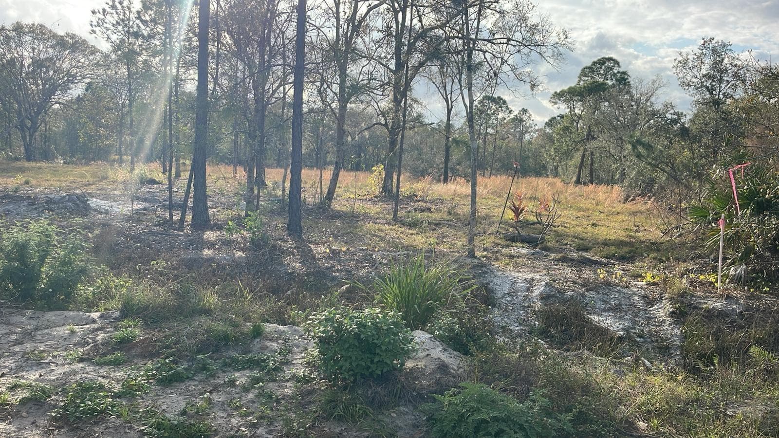KELLY RIDGE RD