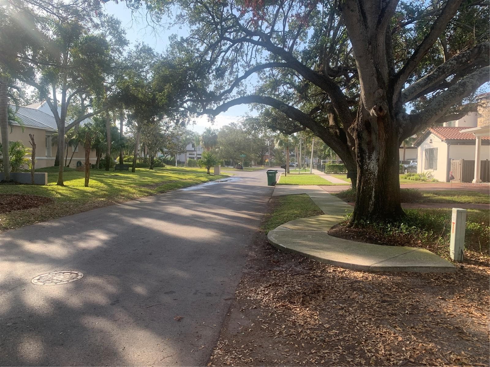 Tree lined streets - 5123 W NEPTUNE WAY, TAMPA