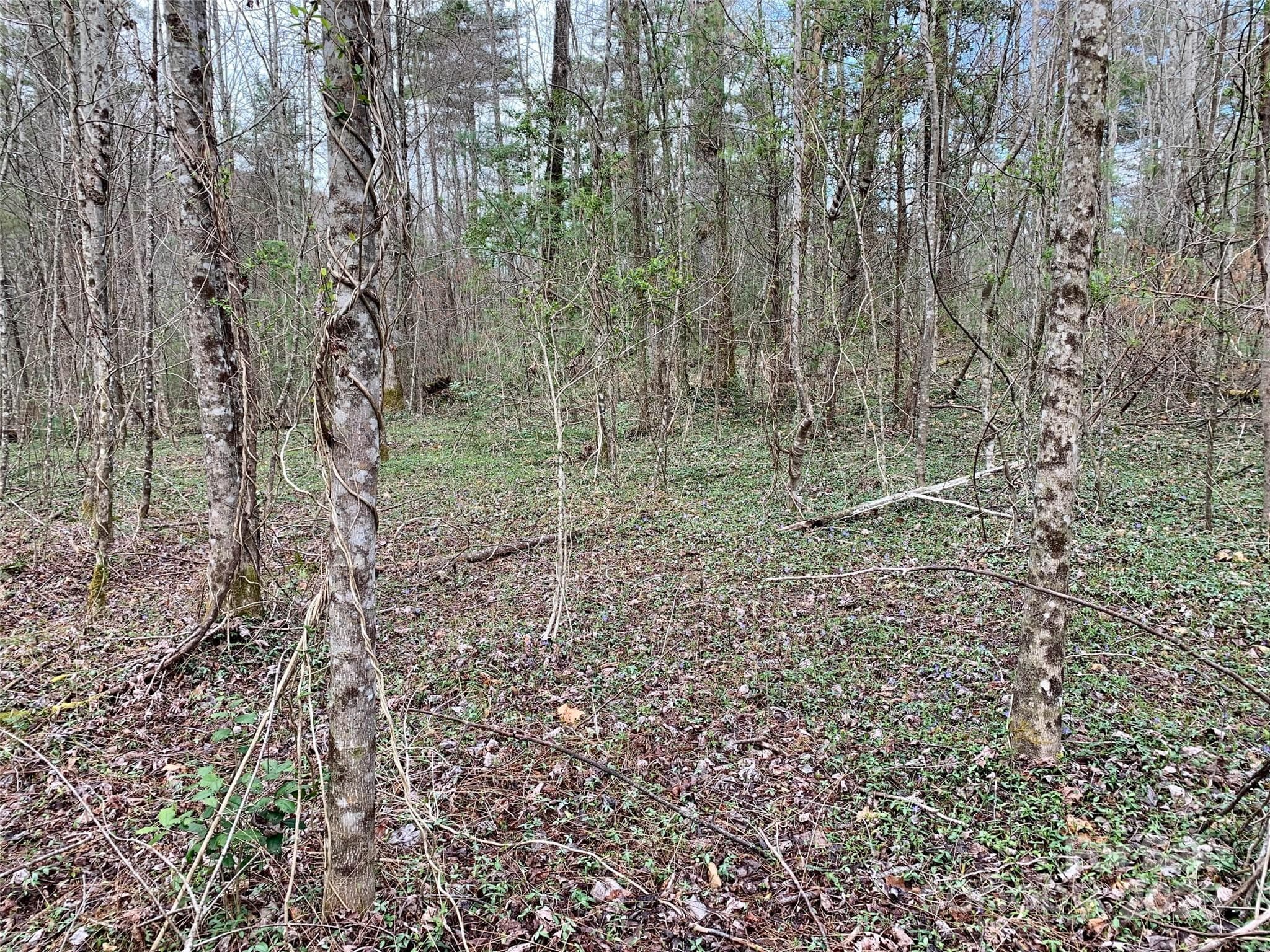 Lot at Lot 64 Peppervine Circle, Rosman, photo 2 of 13