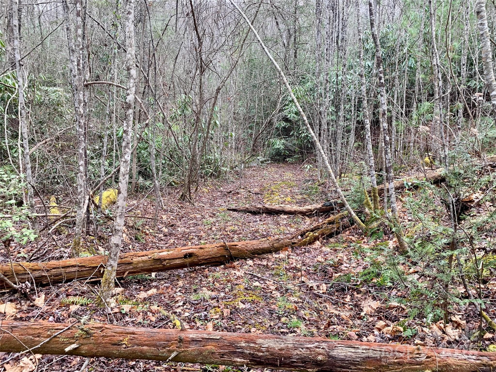 Lot at Lot 64 Peppervine Circle, Rosman, photo 4 of 13