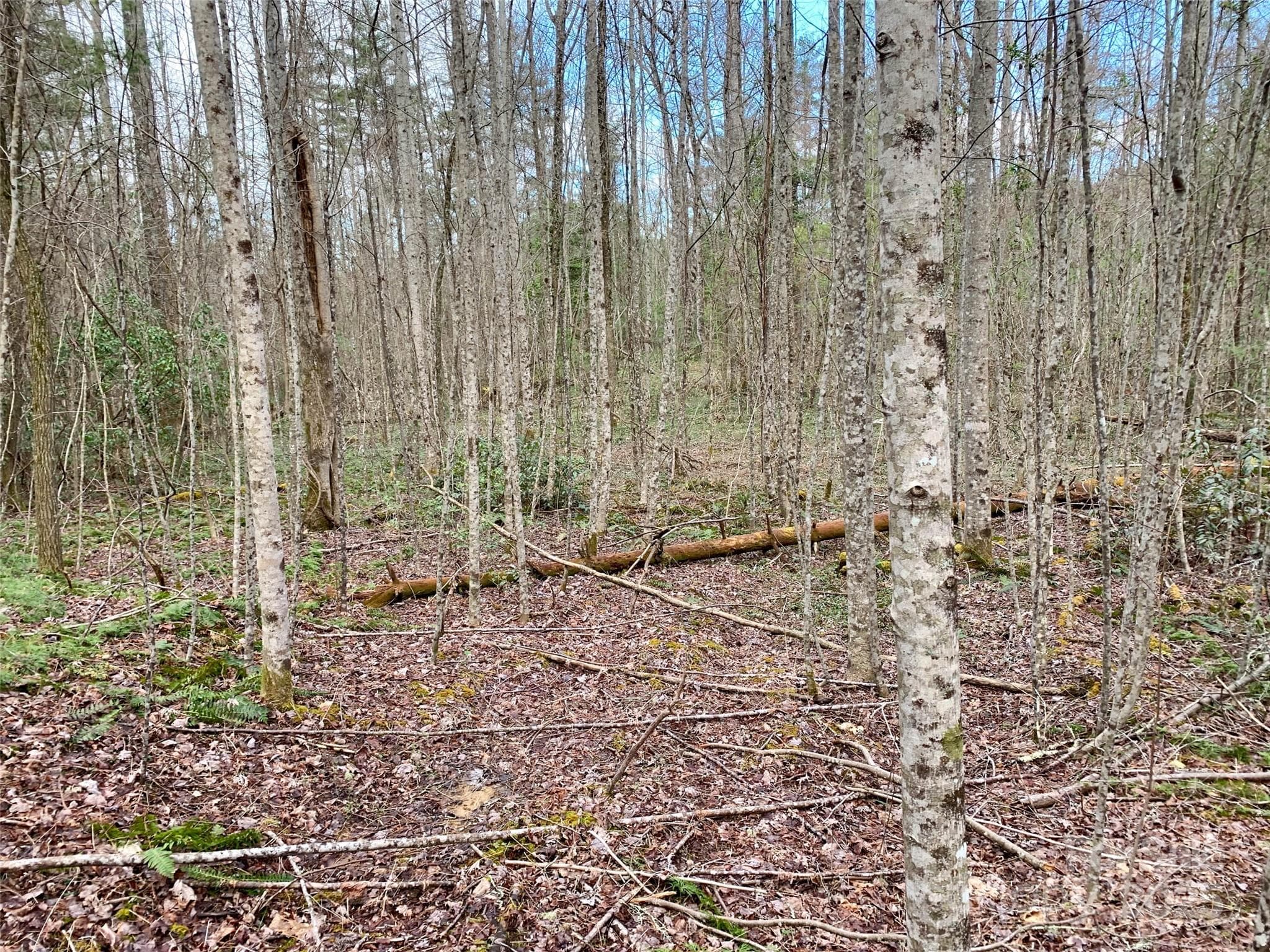 Lot at Lot 64 Peppervine Circle, Rosman, photo 6 of 13