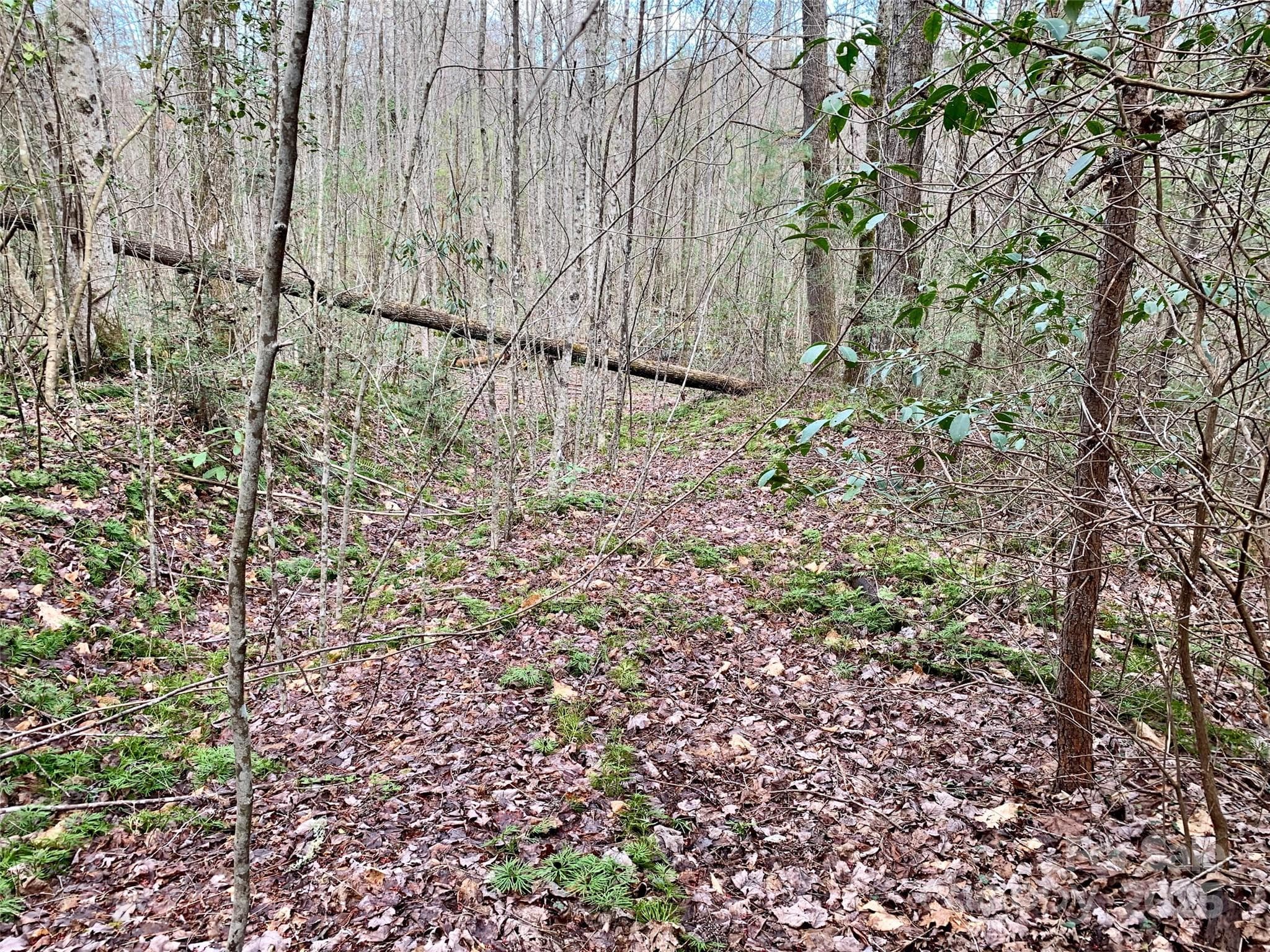Lot at Lot 64 Peppervine Circle, Rosman, photo 8 of 13
