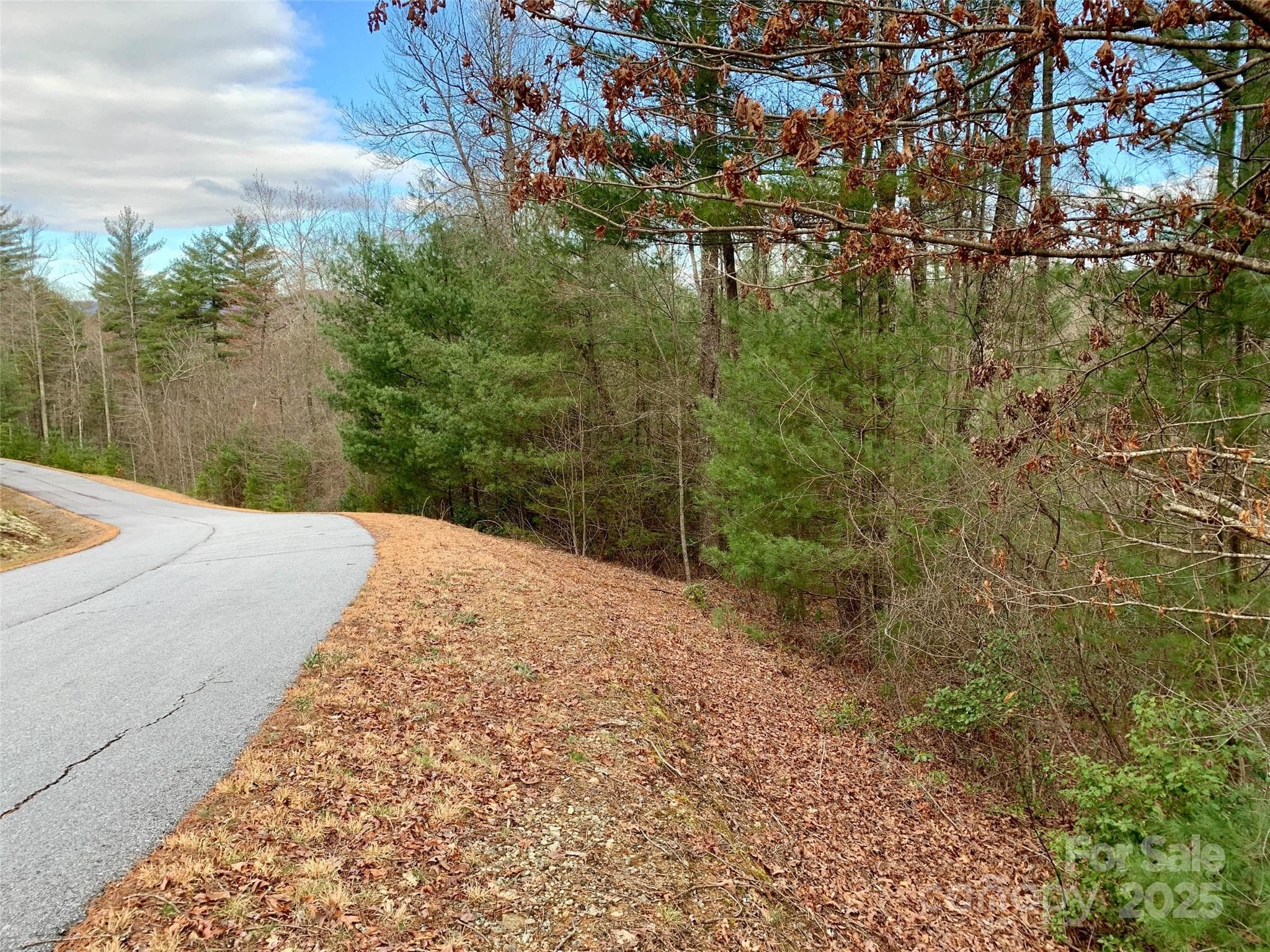 Lot at Lot 64 Peppervine Circle, Rosman, photo 9 of 13
