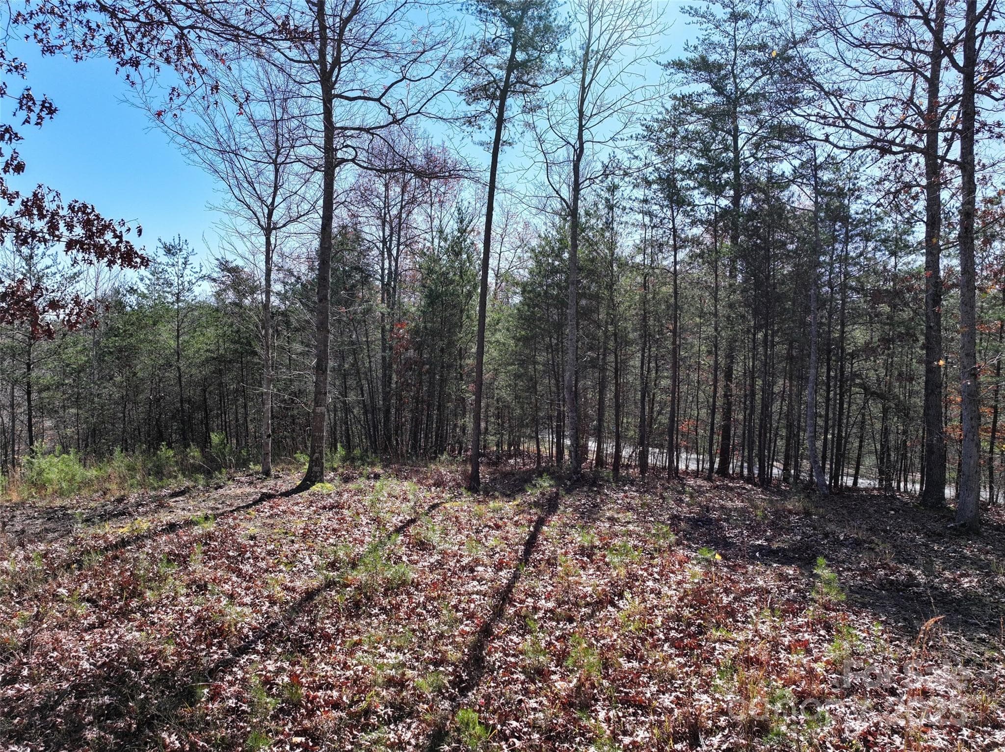 Lot at Marshall, photo 11 of 19
