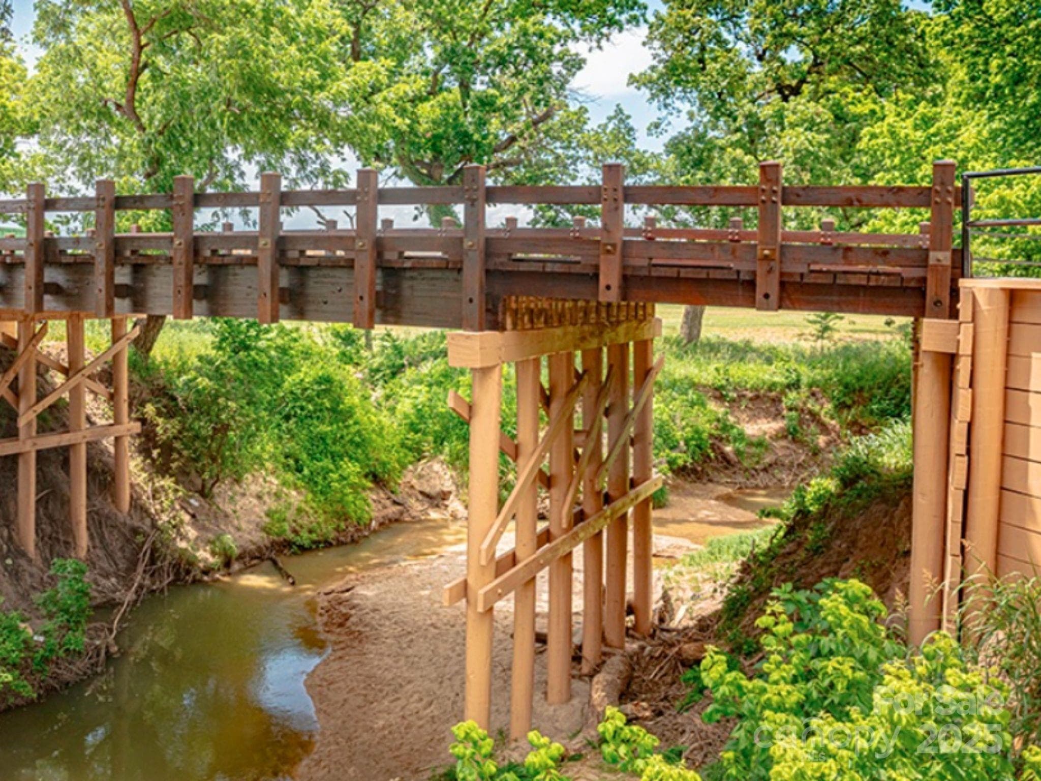 Concept Rendering for Bridge from Phase I - Davidson