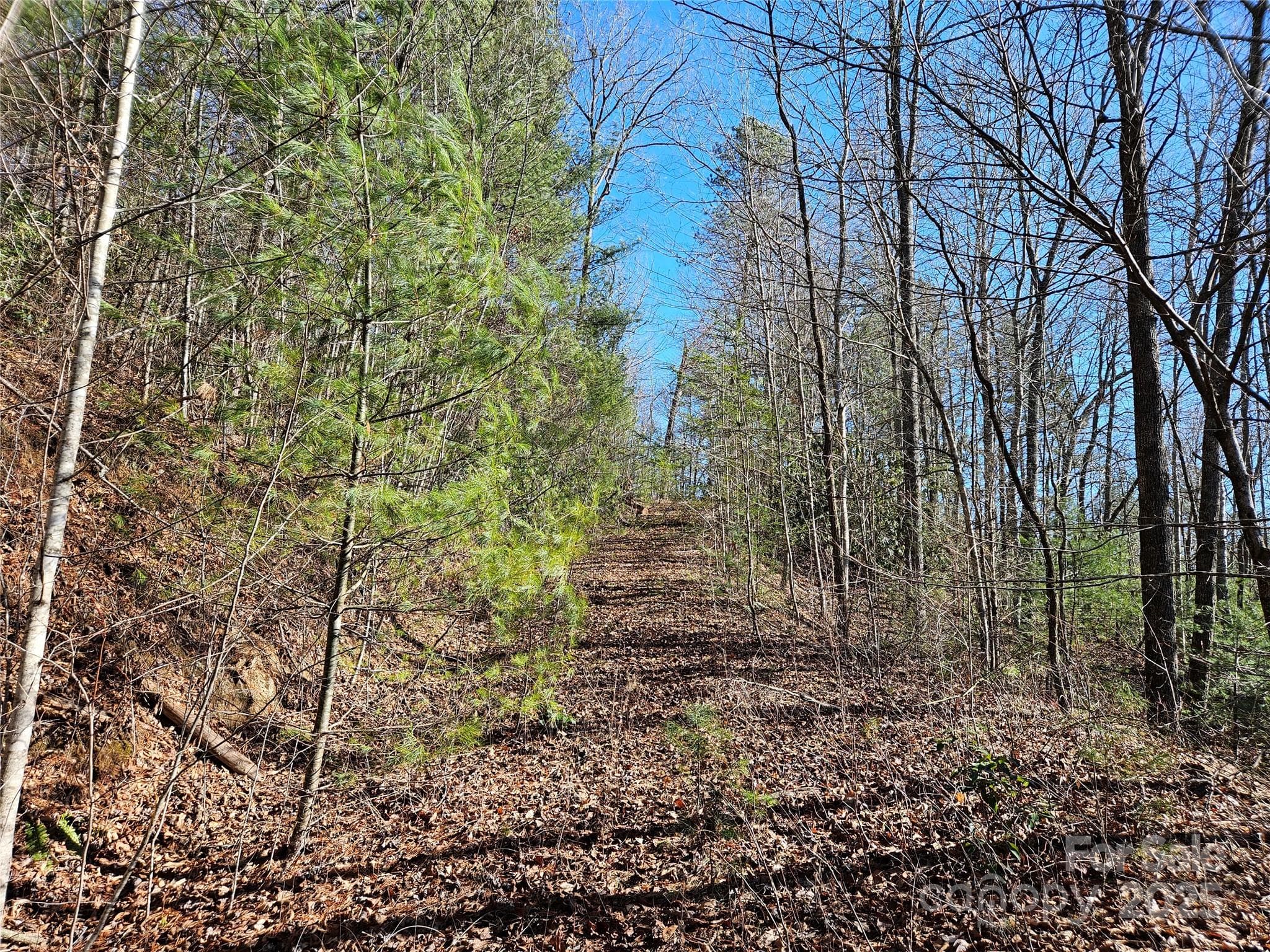 Lot at Waynesville, photo 2 of 10