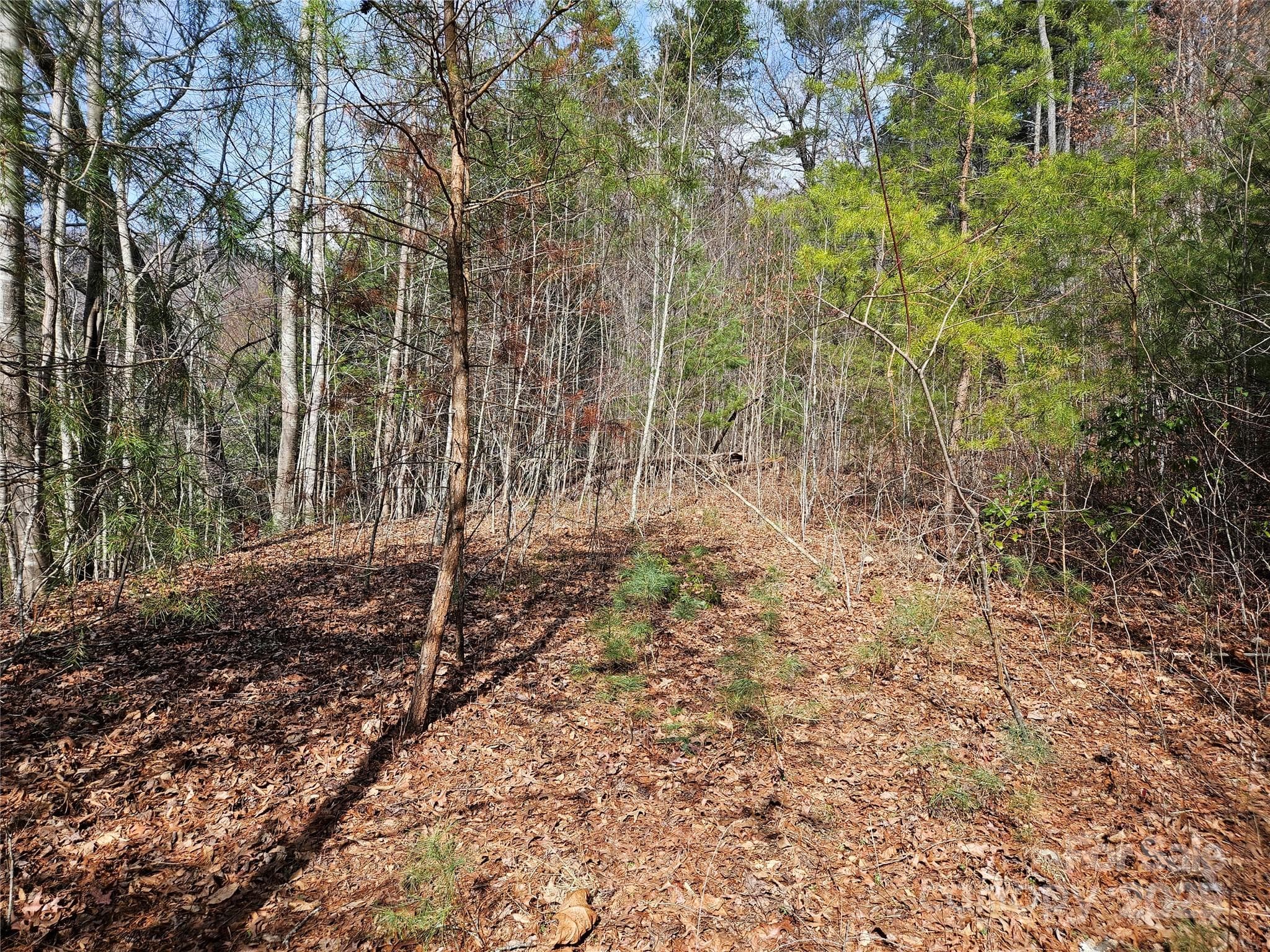 Lot at Waynesville, photo 8 of 10
