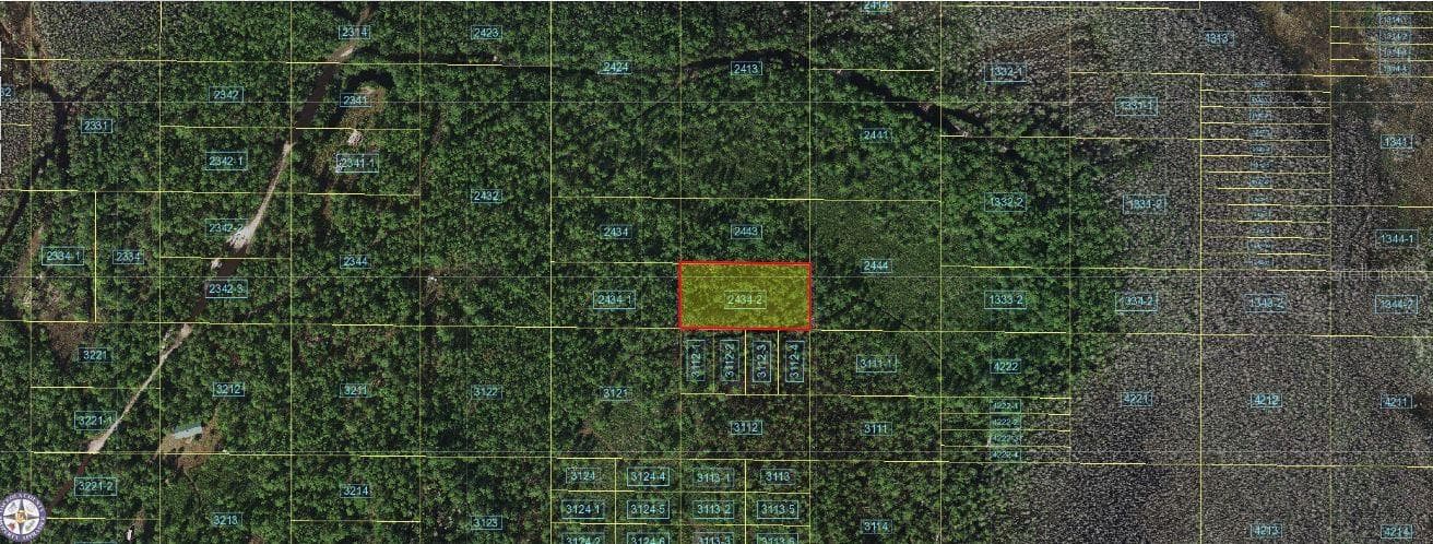 HOLOPAW GROVES RD