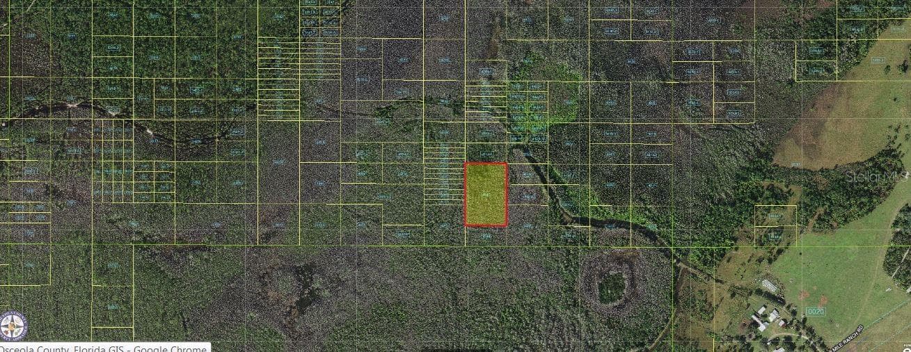 HOLOPAW GROVES RD