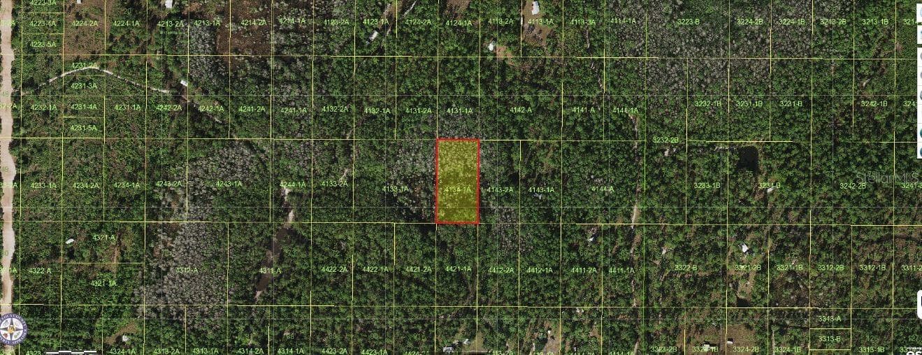 HOLOPAW GROVES RD