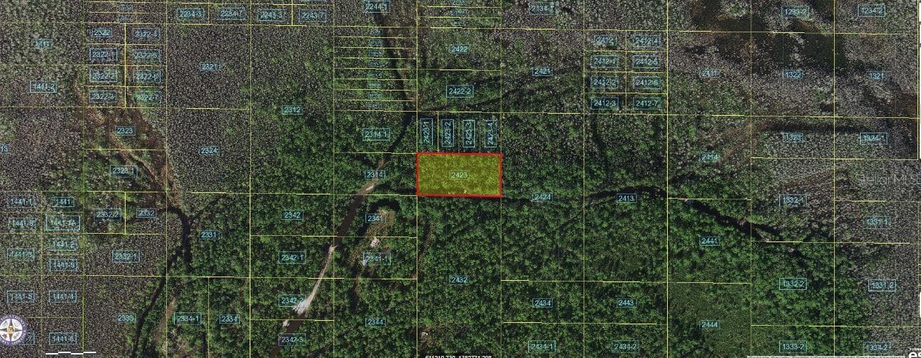 HOLOPAW GROVES RD