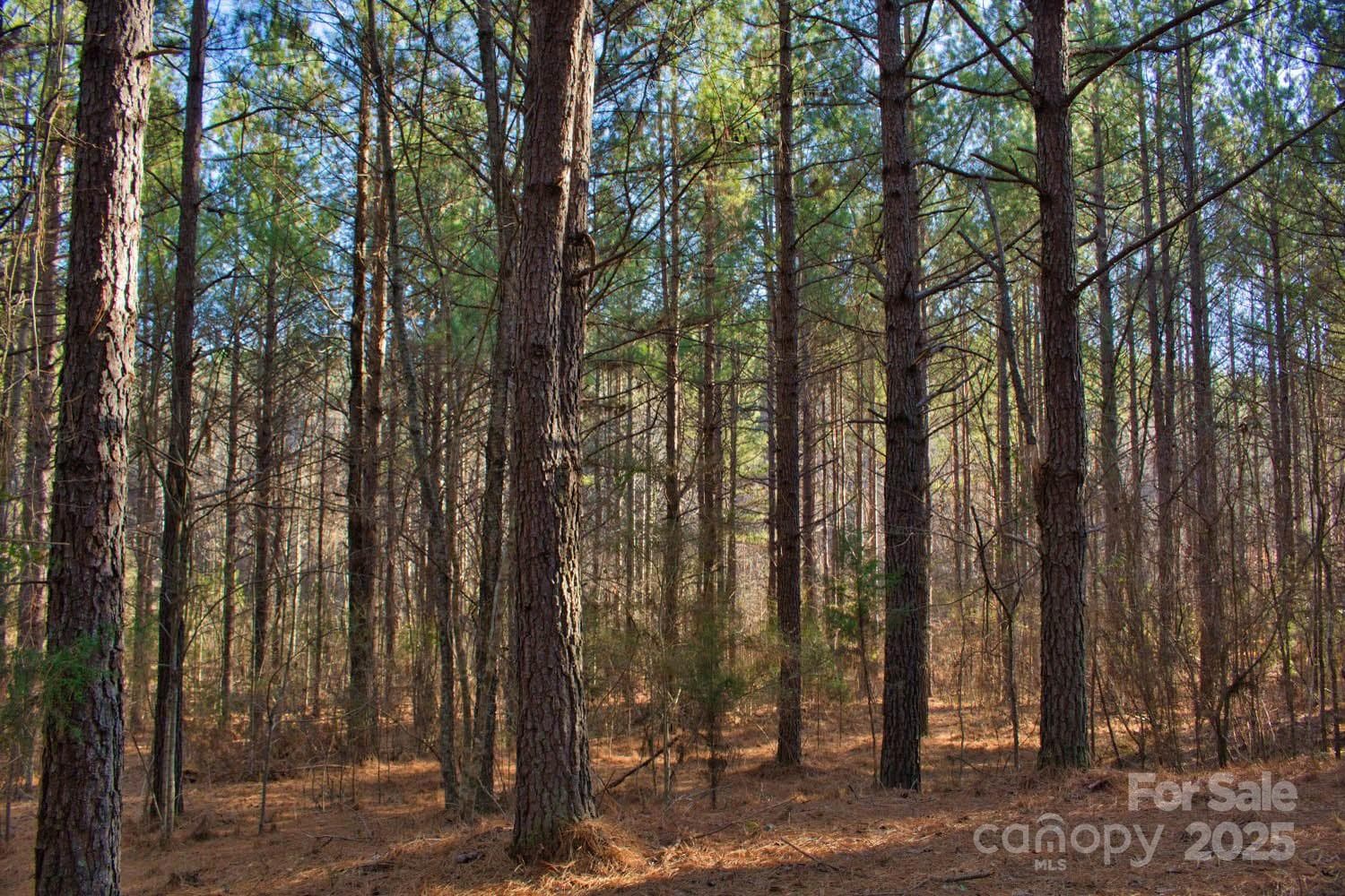 Lot at 0 Clearwater Parkway, Rutherfordton, photo 5 of 6