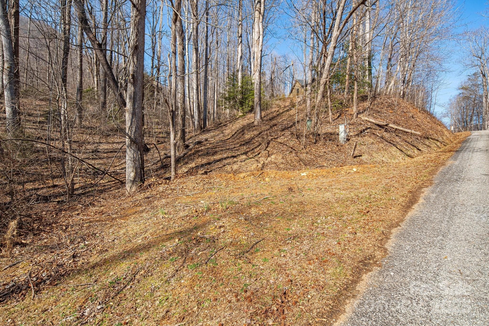Lot at 000 Blue Ridge Drive N, Marion, photo 2 of 23
