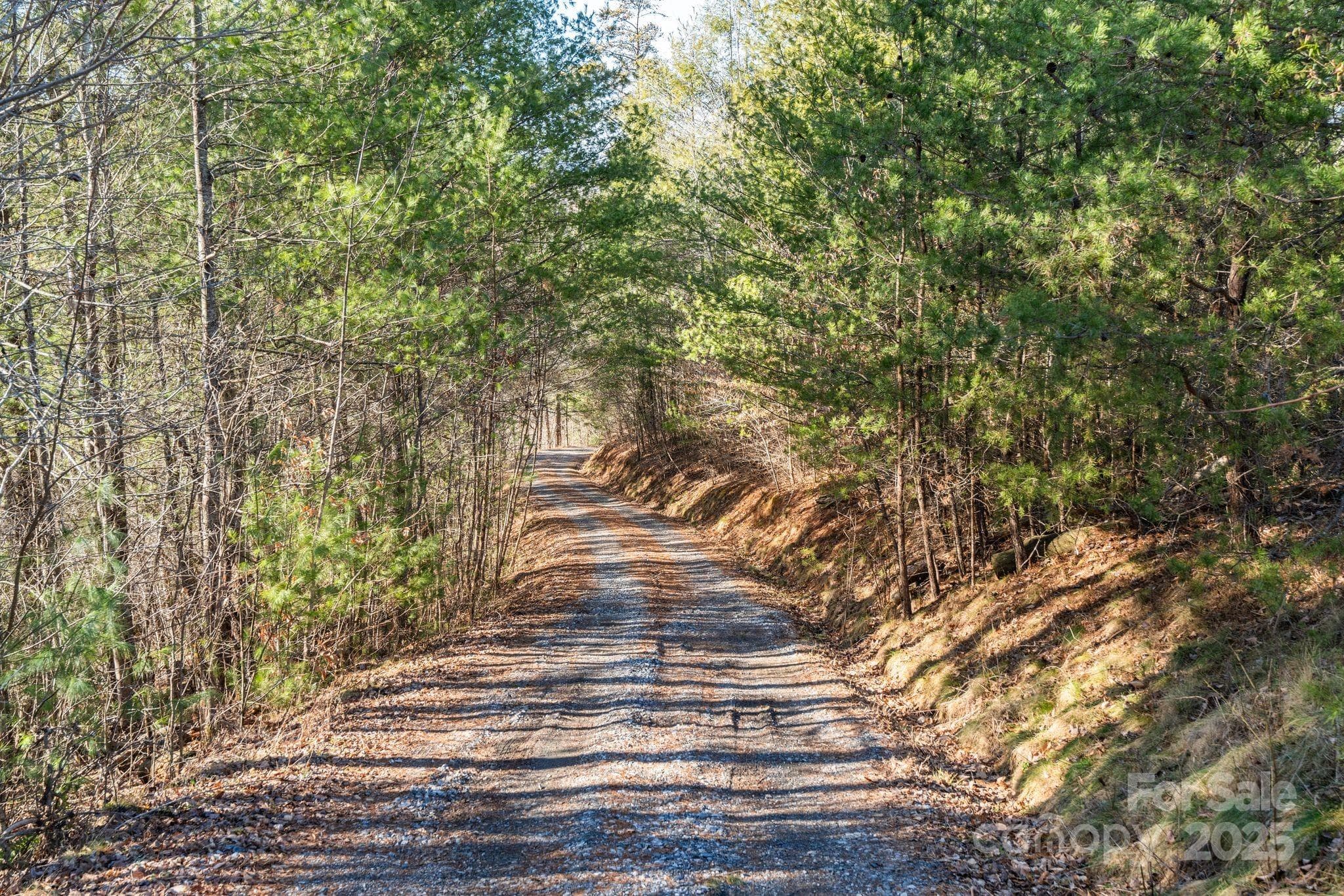Road through property - Marshall