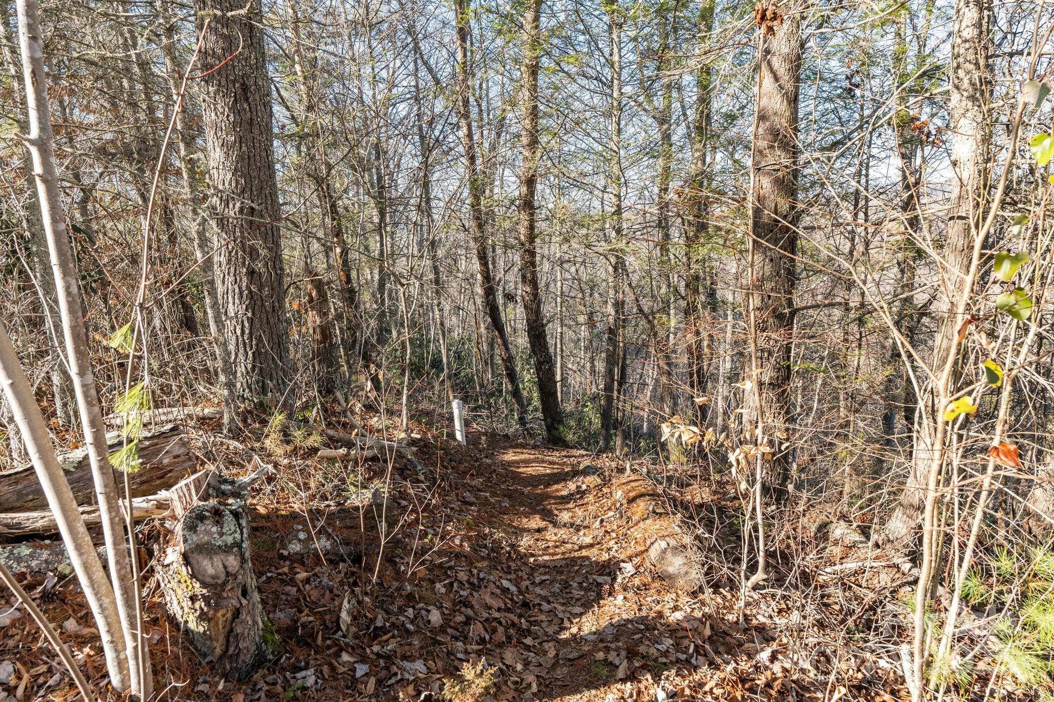 Walking Trail - Marshall