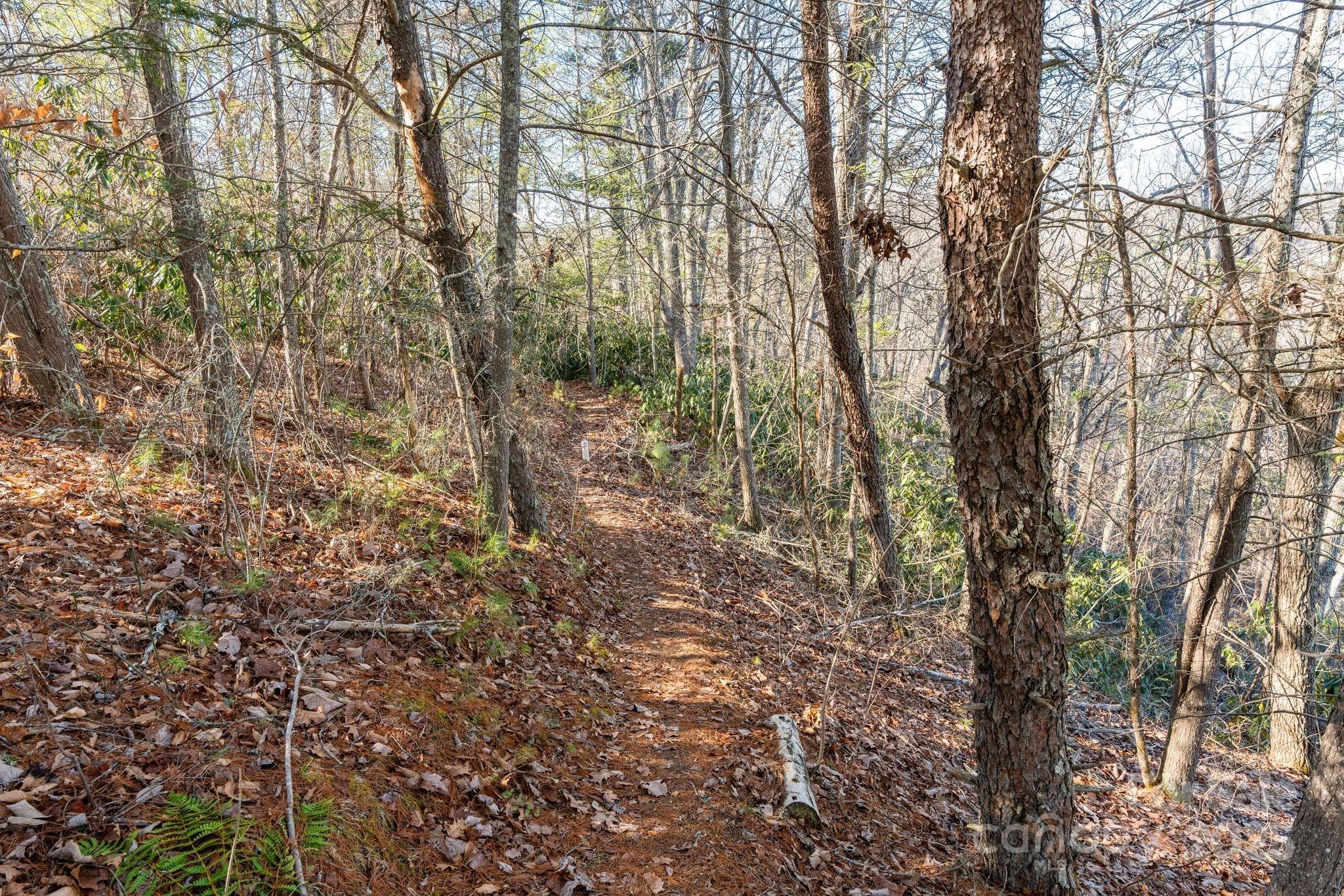 Trail - Marshall