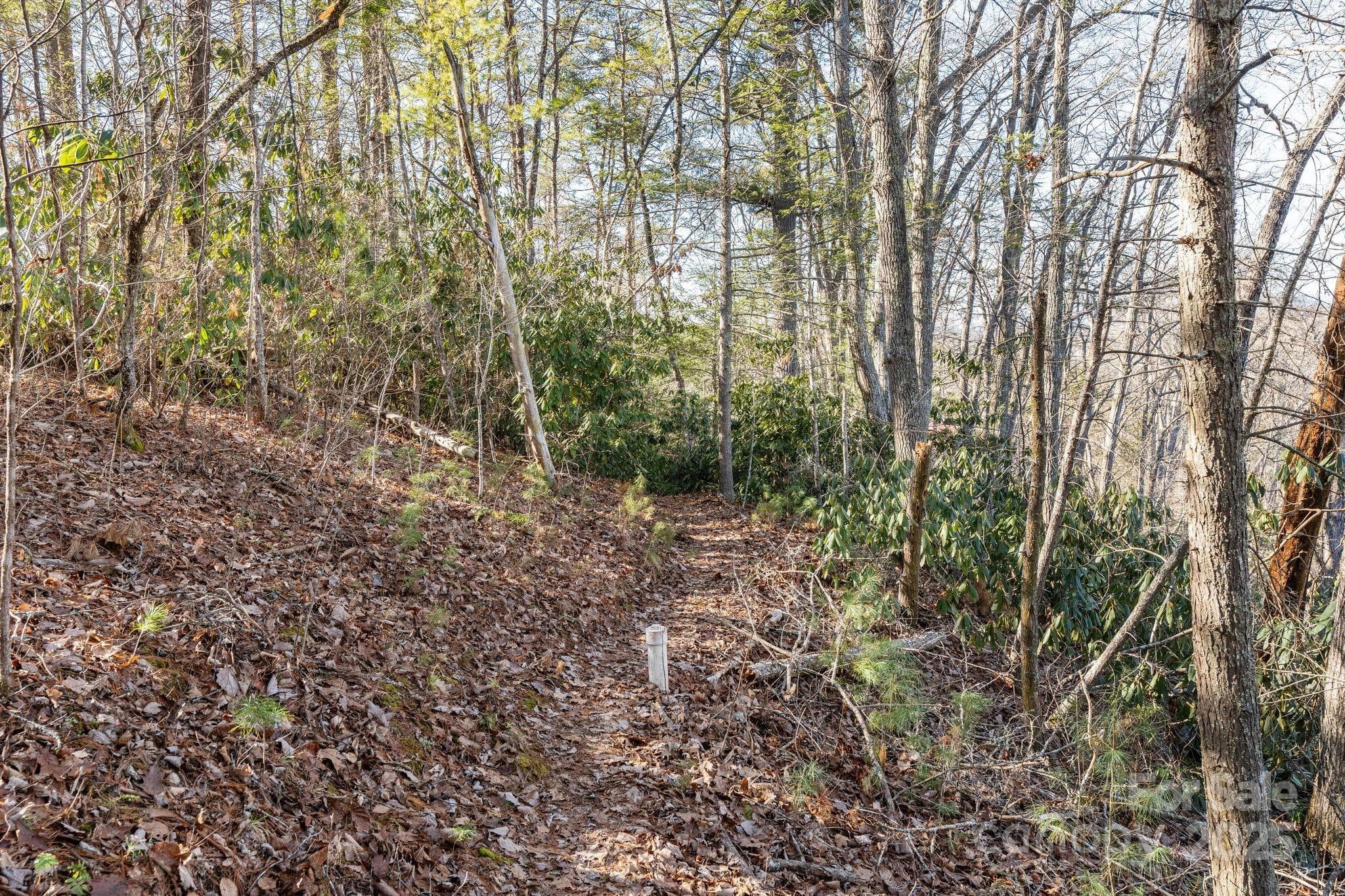 Lot at Marshall, photo 8 of 24