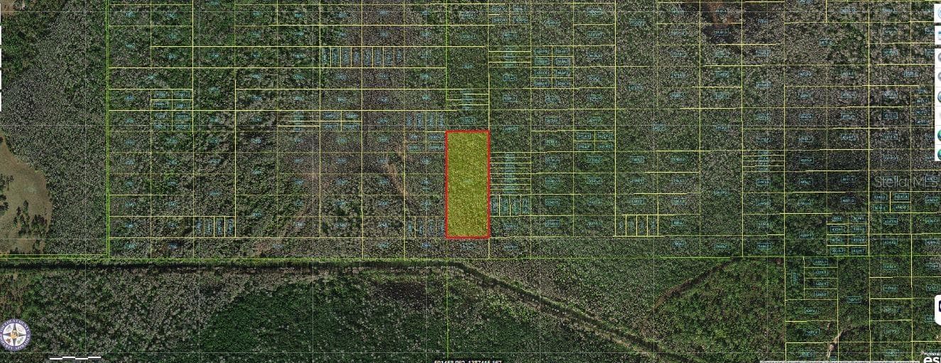 HOLOPAW GROVES RD