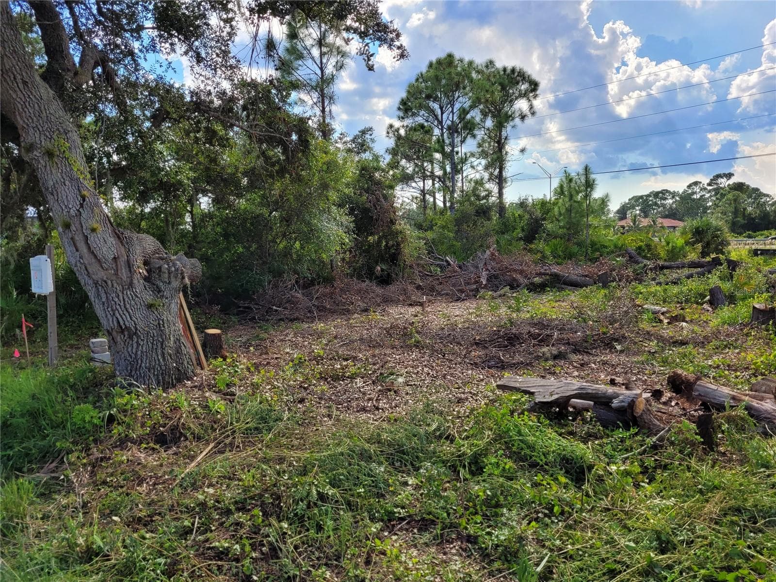 Land at 3419 SWANEE RD, PORT CHARLOTTE, photo 9 of 12