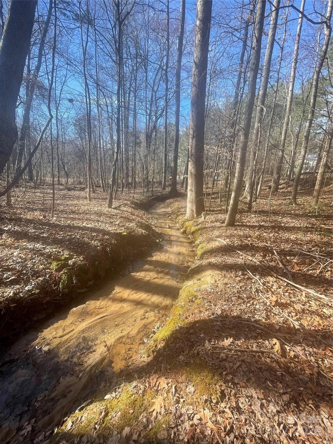 Small Creek on back boundary of property - Mooresville