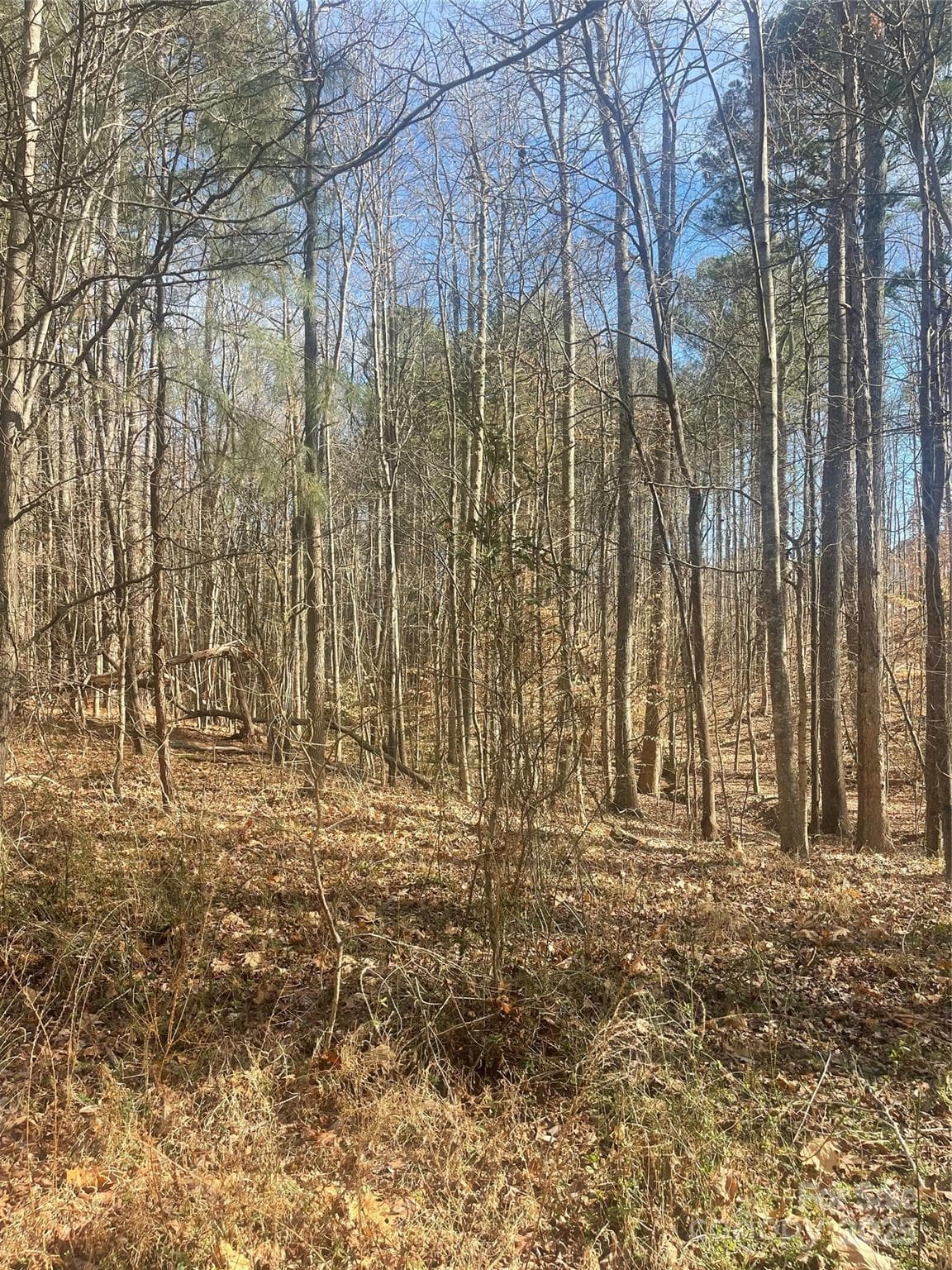 Lot at Mooresville, photo 3 of 10