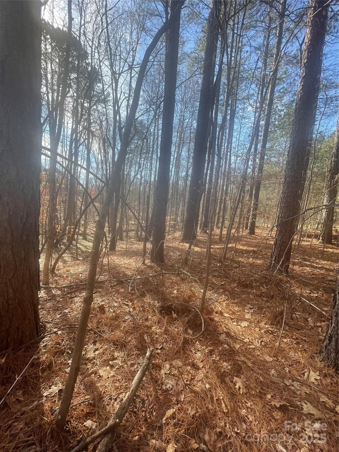 Lot at Mooresville, photo 6 of 10