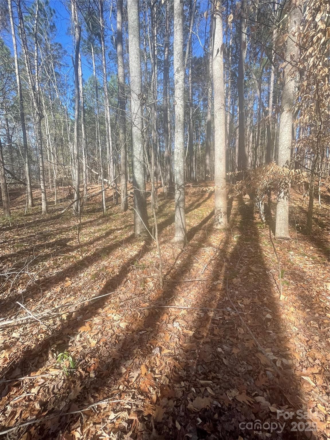 Lot at Mooresville, photo 7 of 10
