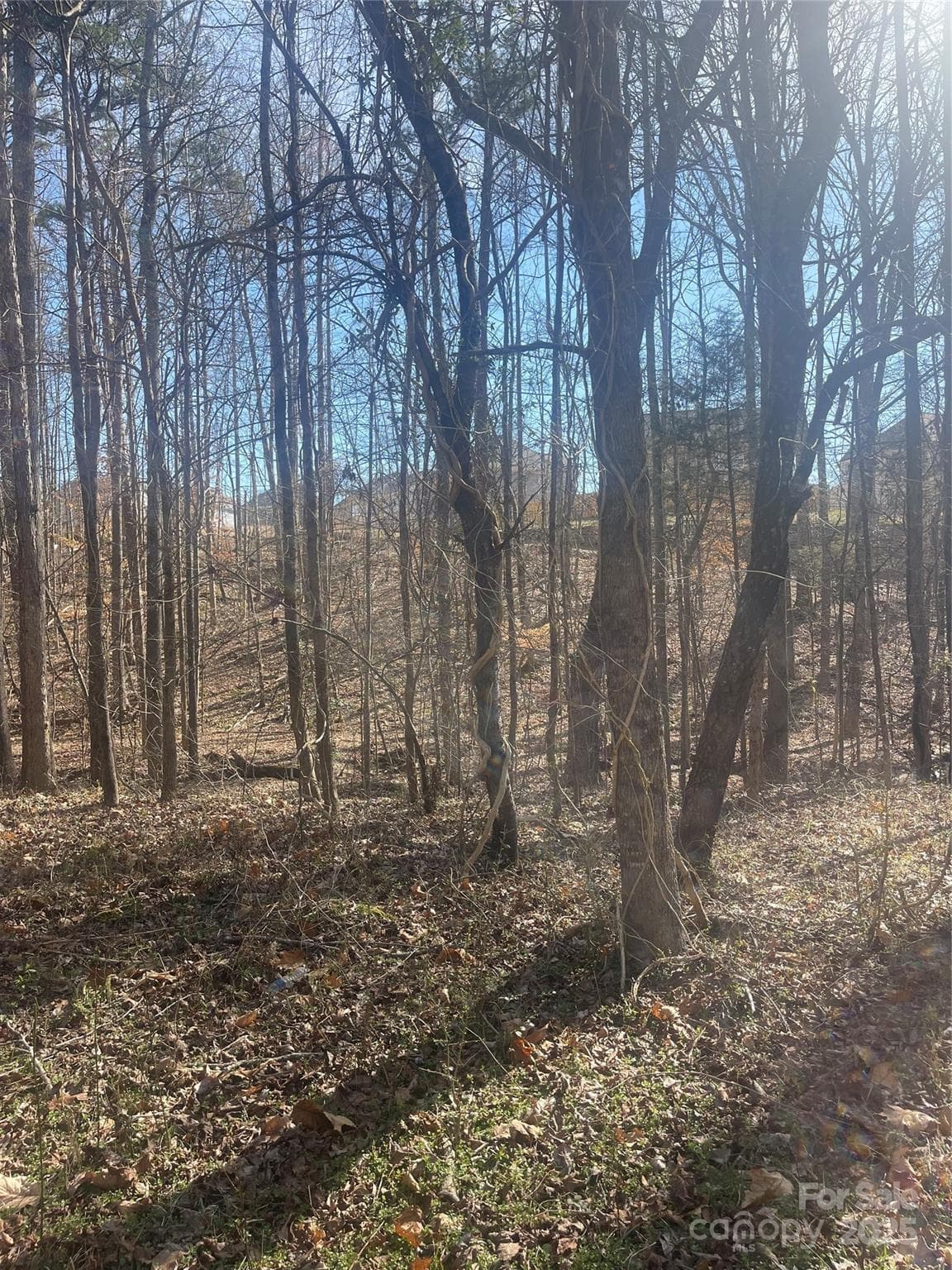 Lot at Mooresville, photo 8 of 10