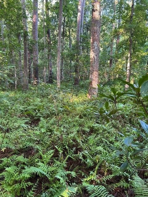 Land at EUREKA HAMMOCK, SANFORD, photo 5 of 16