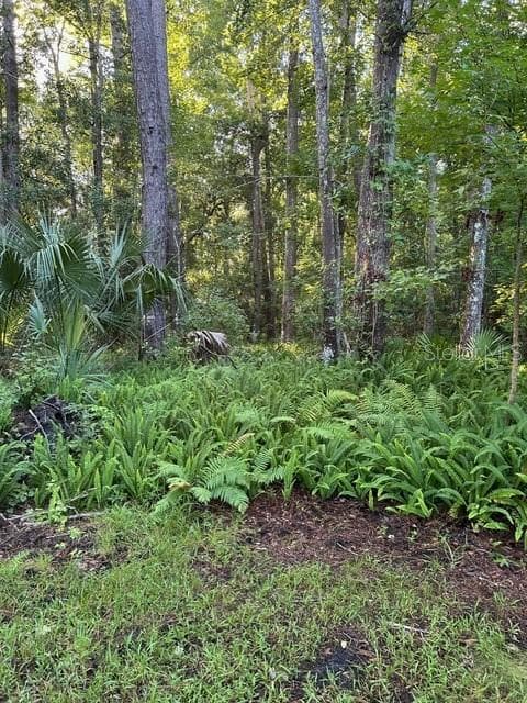 Land at EUREKA HAMMOCK, SANFORD, photo 6 of 16