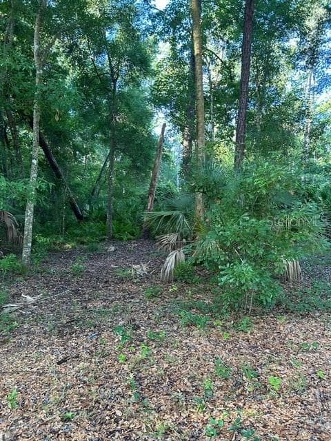 Land at EUREKA HAMMOCK, SANFORD, photo 8 of 16