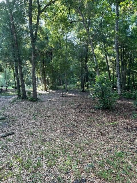 Land at EUREKA HAMMOCK, SANFORD, photo 9 of 16