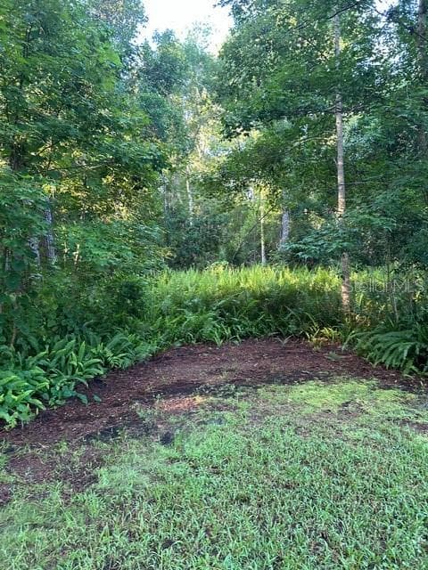 Land at EUREKA HAMMOCK, SANFORD, photo 14 of 16
