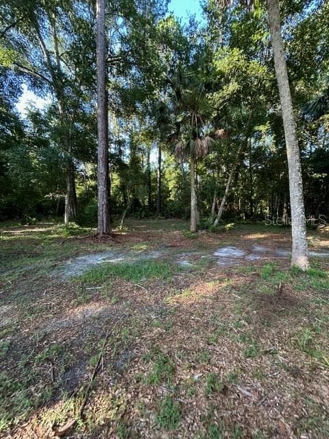 Land at EUREKA HAMMOCK, SANFORD, photo 16 of 16