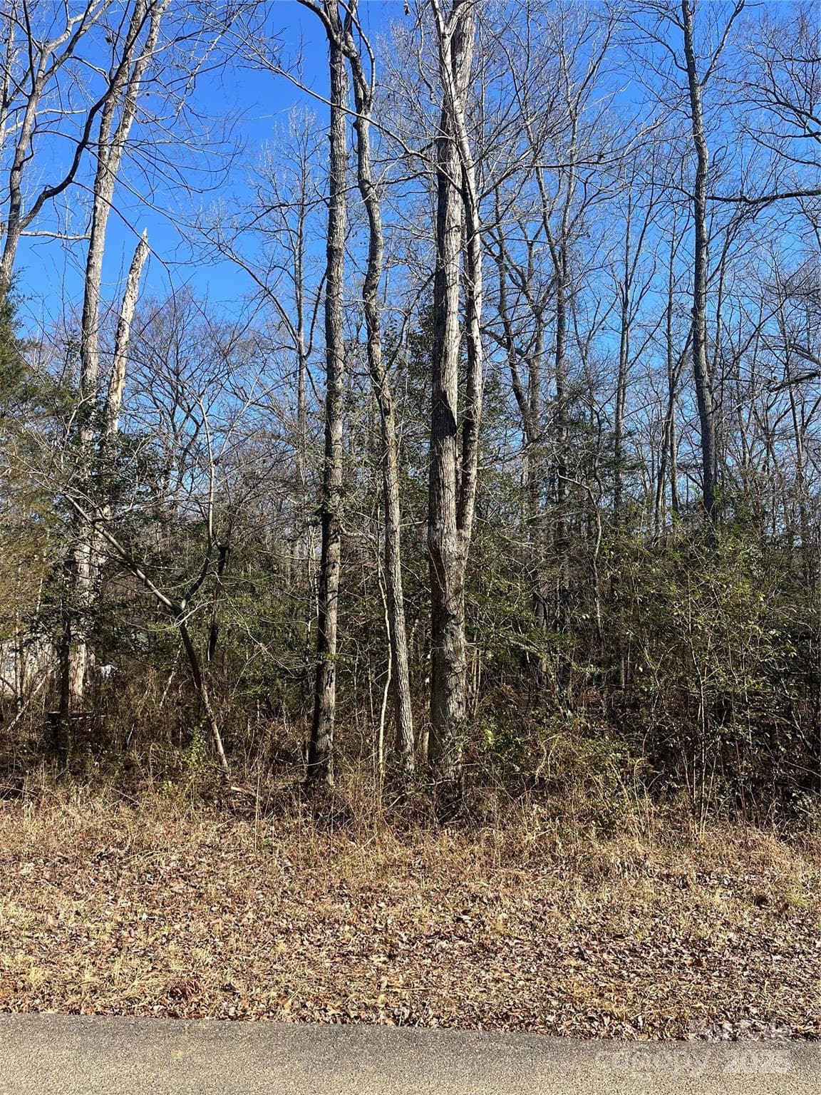 Lot at Salisbury, photo 2 of 13