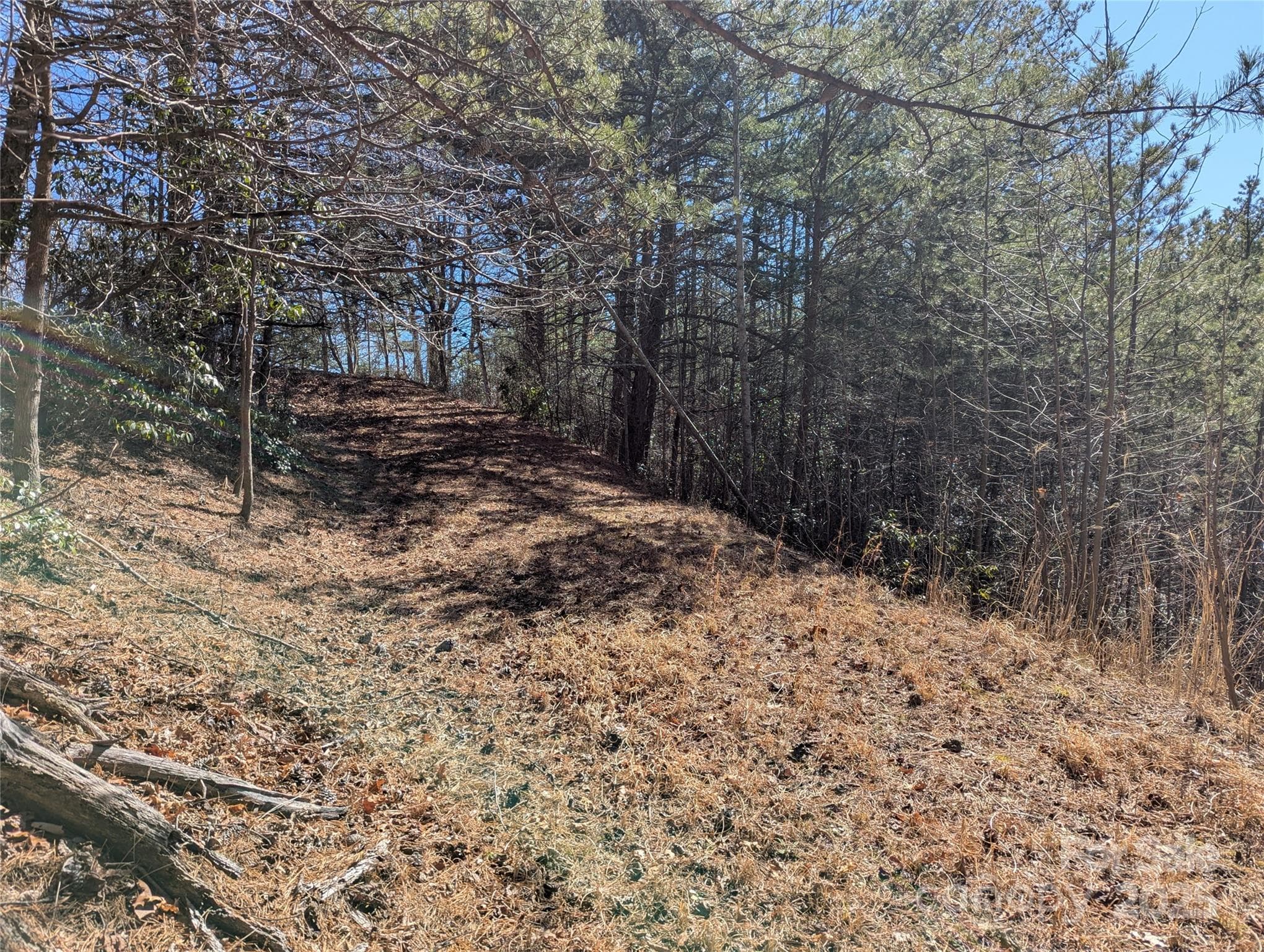 Lot at 94 Trillium Lane, Black Mountain, photo 2 of 16