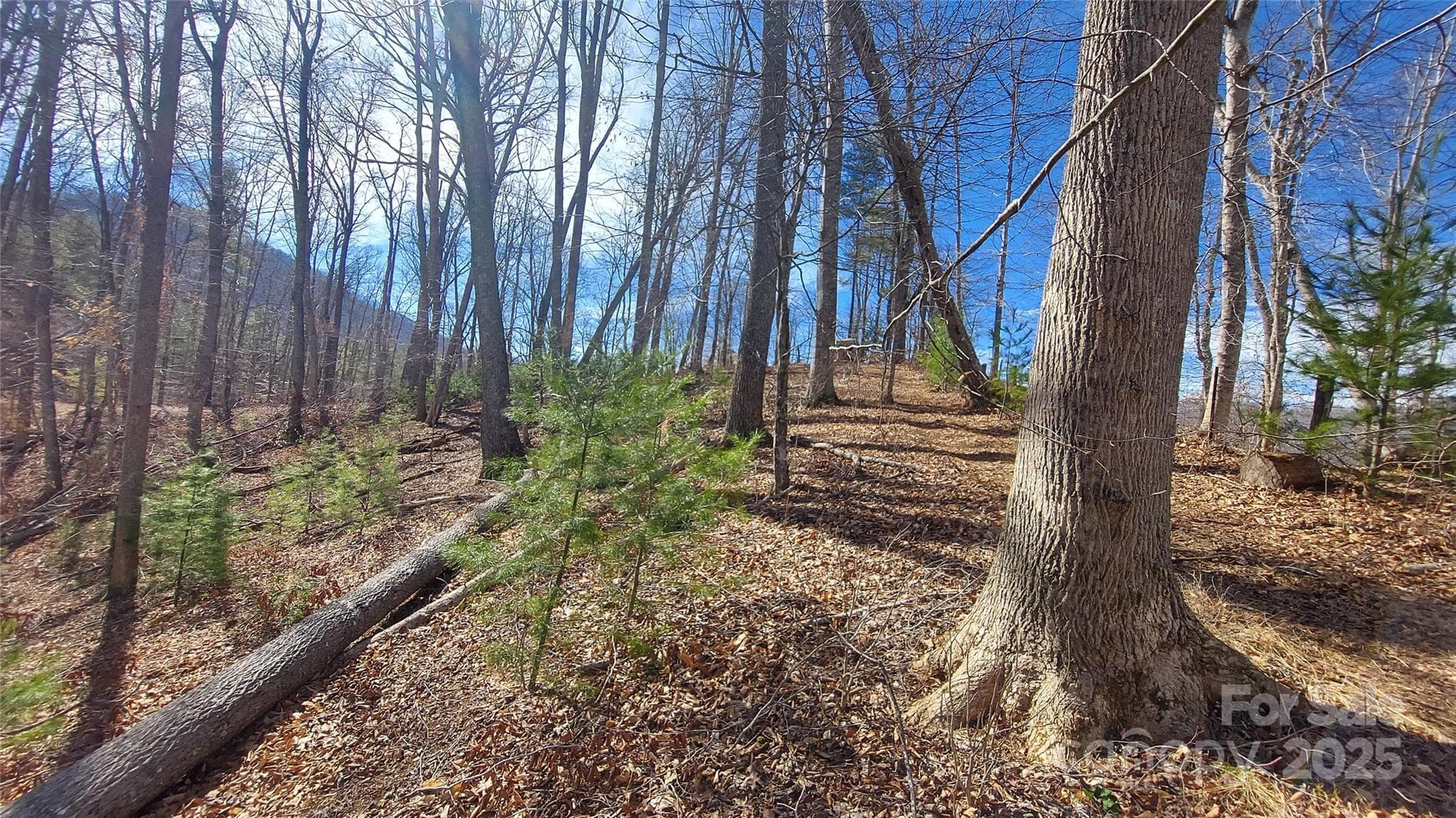 One ridge line - Burnsville