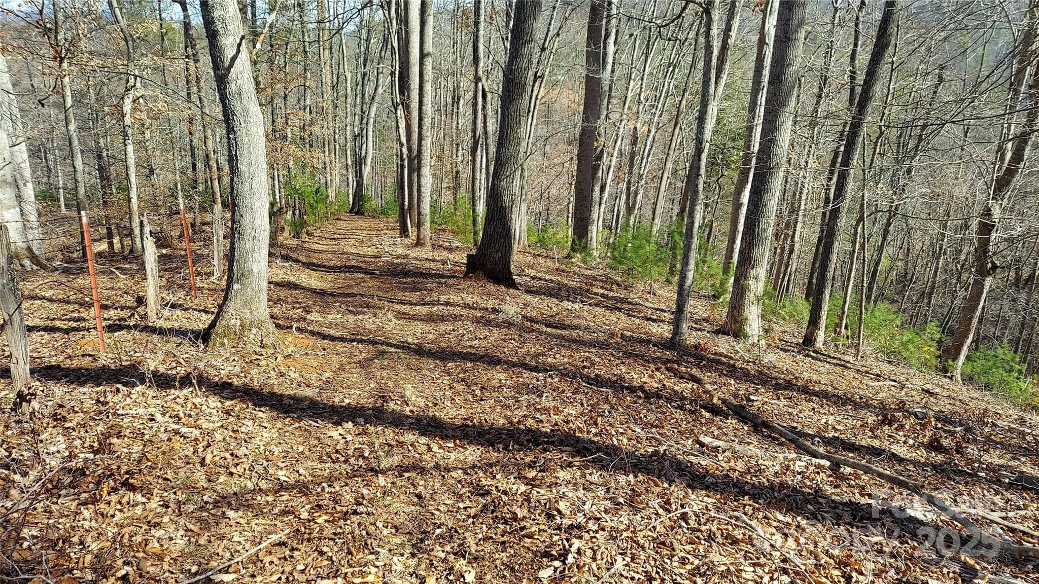 Homesite - Burnsville
