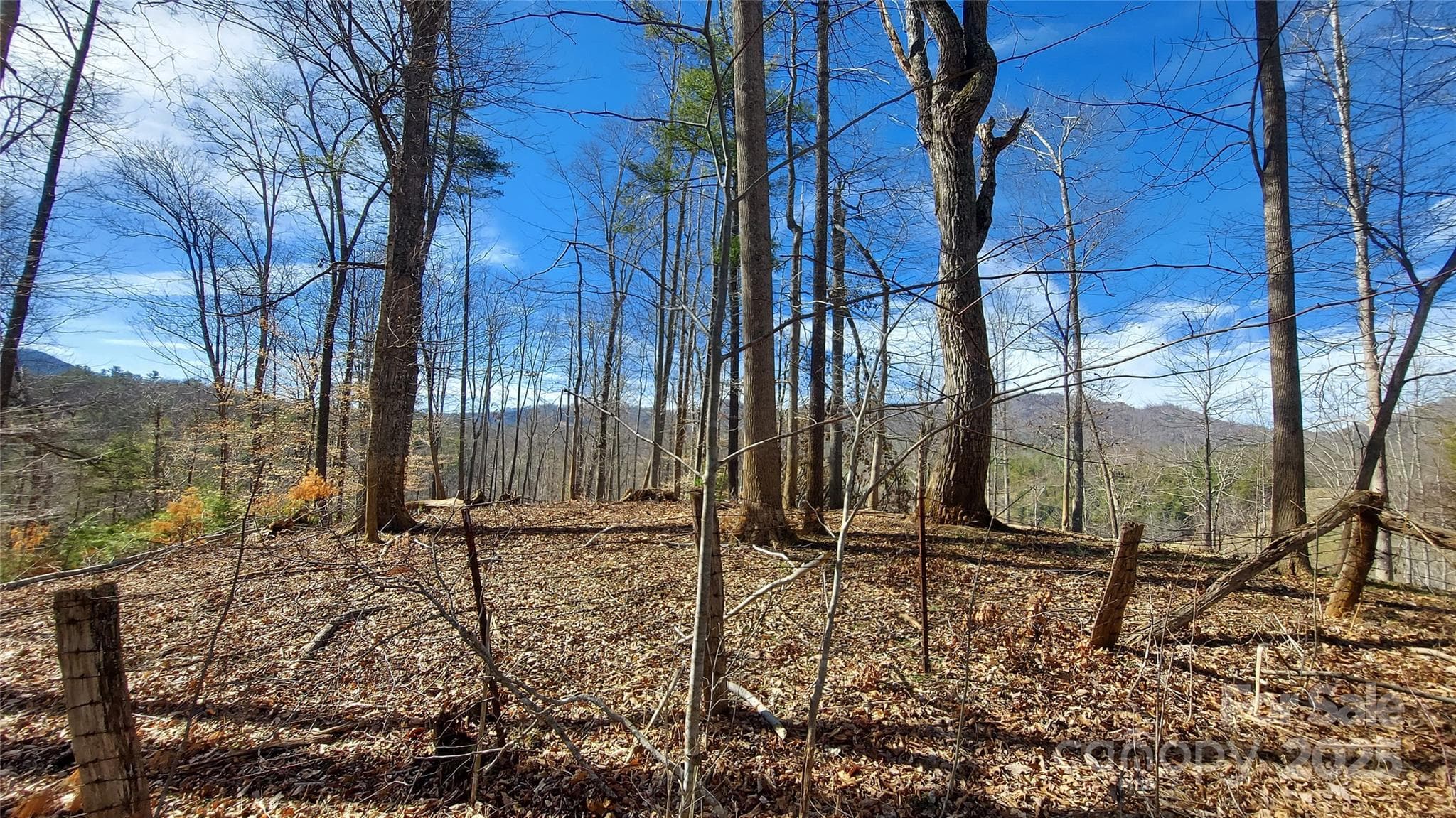 Part of view, SW - Burnsville