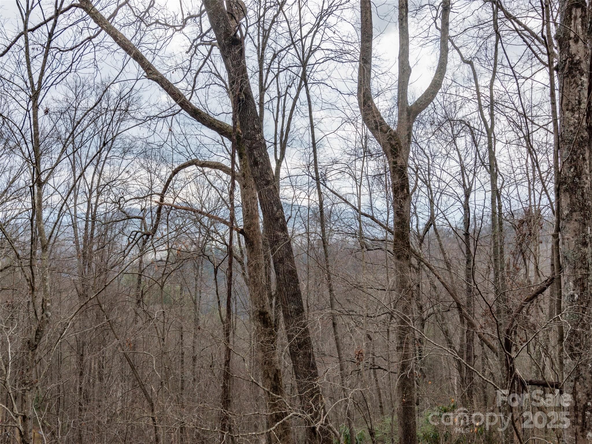 Acreage at Waynesville, photo 2 of 10