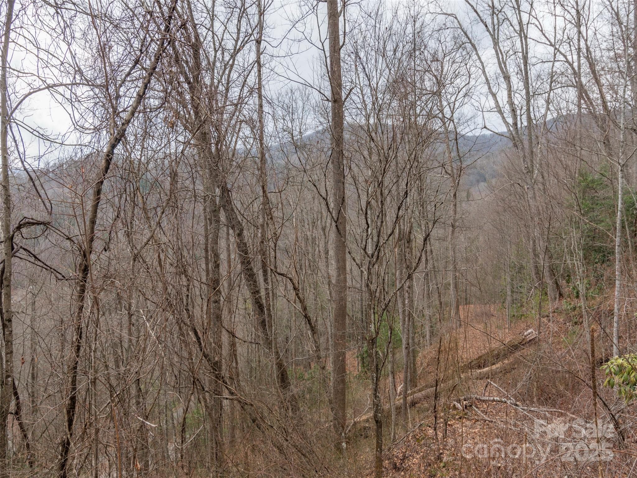 Acreage at Waynesville, photo 3 of 10