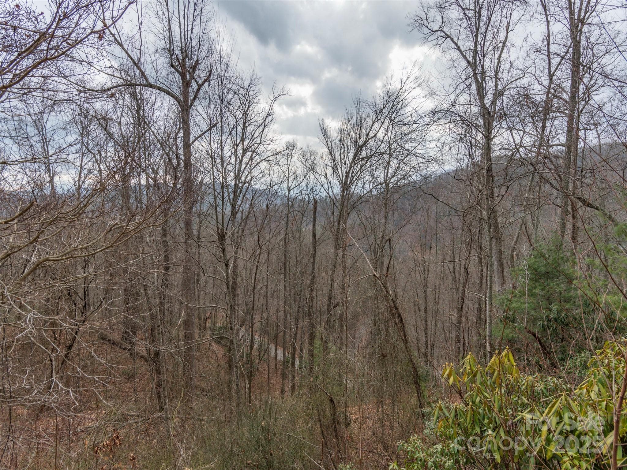 Acreage at Waynesville, photo 4 of 10