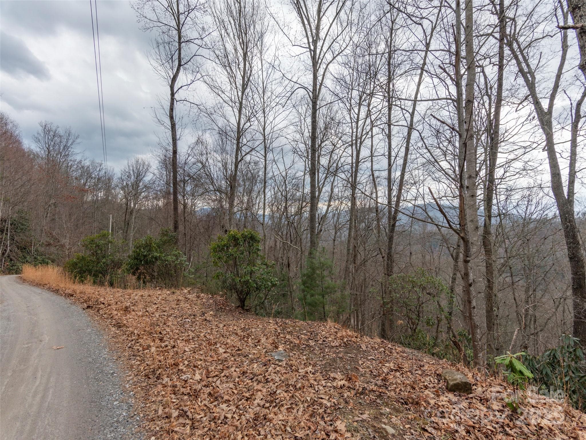 Acreage at Waynesville, photo 5 of 10