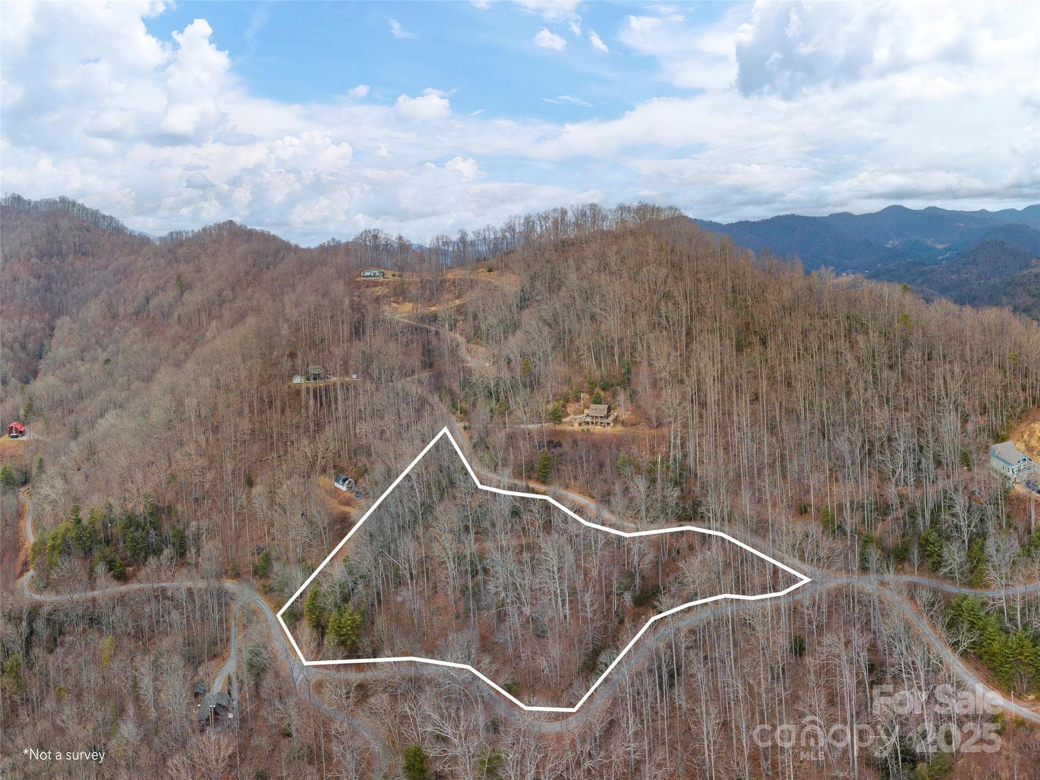 Acreage at Waynesville, photo 7 of 10