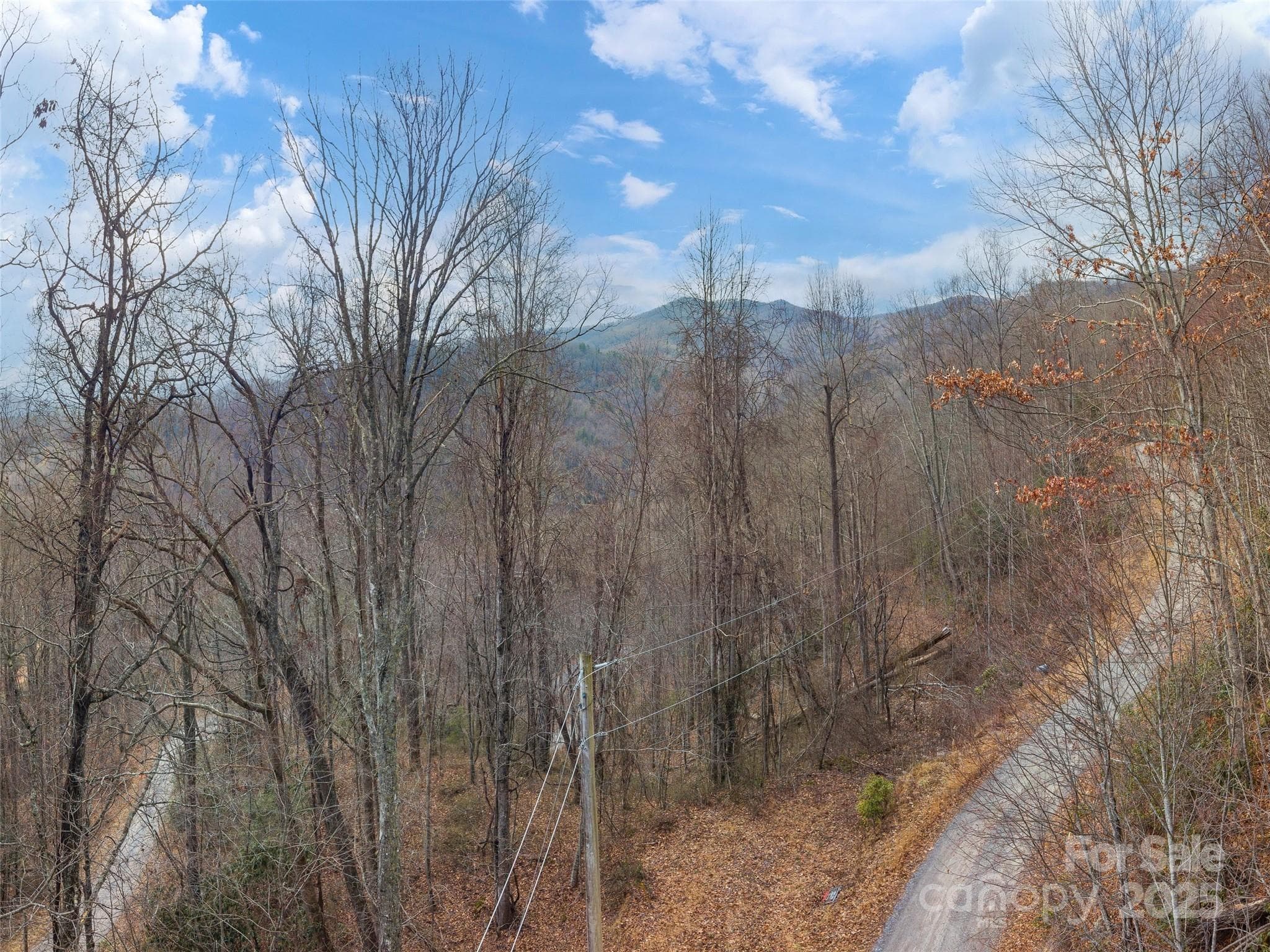 Acreage at Waynesville, photo 9 of 10