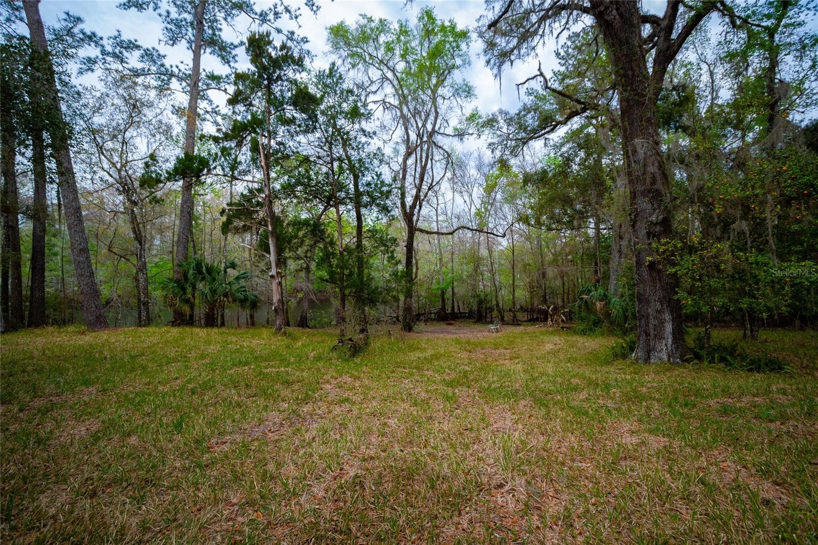 Land at 7822 CR 647, BUSHNELL, photo 7 of 29