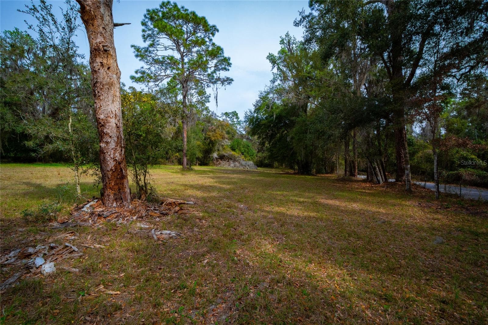 Land at 7822 CR 647, BUSHNELL, photo 9 of 29