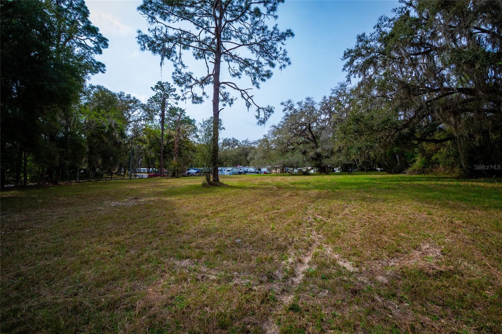 Land at 7822 CR 647, BUSHNELL, photo 11 of 29